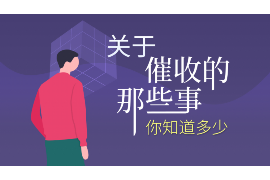 庐江庐江的要账公司在催收过程中的策略和技巧有哪些？